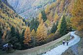 Val Sambuzza, Monte Masoni e Rifugio F.lli Longo il 1 novembre 2009 - FOTOGALLERY